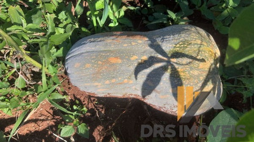 Imagem 11 de 15 de Rural Chacara Com 3 Quartos - Ch33-v