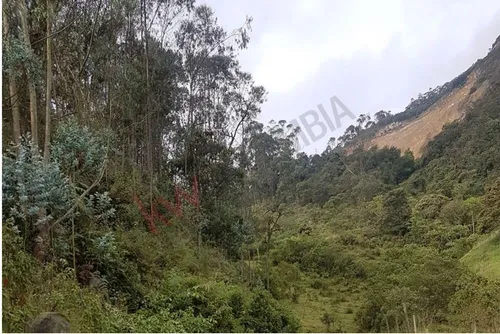 Terreno Para Inversión En El Alto Del Vino. 3.6 Fanegadas-7622 (7622).