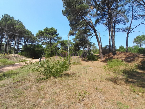 Imagen 9 de 12 de Venta De Lote En Barra Verde, La Barra, Uruguay - La Barra Barra Verde