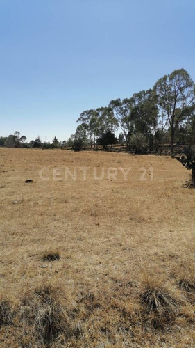 Terreno En Venta, En Poblado Palos Altos, Soyaniquilpan Jilotepec, Edo. Méx.