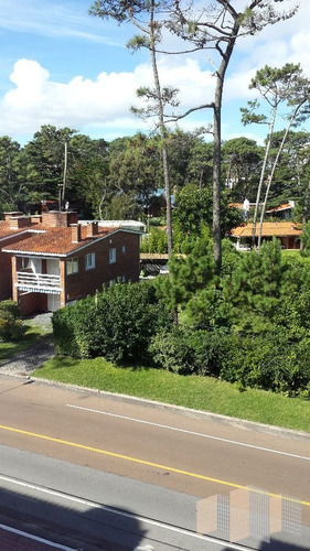 Imagen 12 de 24 de Con Azotea De Uso Exclusivo Con Parrillero Con Pergola.