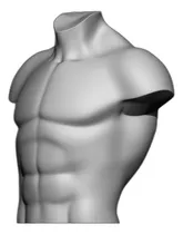 Comprar Crea Tu Propio Torso Masculino De Colección Único