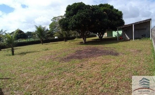 Imagem 17 de 19 de Granja A Venda São Gonçalo Do Amarante