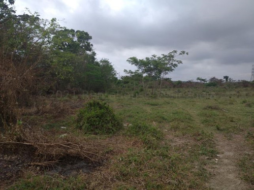 Imagen 8 de 30 de Terrenos En Venta El Placer Cabudare 21-17389 @m
