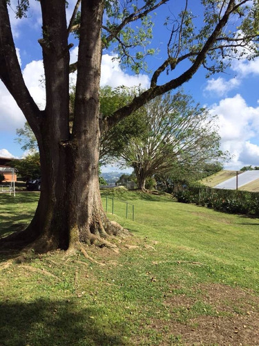 Imagen 3 de 23 de Finca Para Equitación. Miranda, San Antonio De Los Altos.