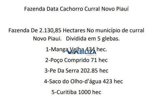 Fazenda No Piaui 2.130 Hec Para Extração De Ferro E Energia Eólica - Fa0004