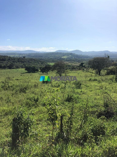 Imagem 3 de 5 de Fazenda - Zona Rural - Ref: 5454 - V-mta5454