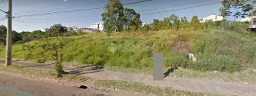 Imagem 5 de 6 de Terreno - Hipica - Ref: 297028 - V-297028