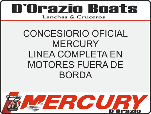 Motor Fuera De Borda Mercury 40 Hp 2 Tiempos 3 Cil Electrico