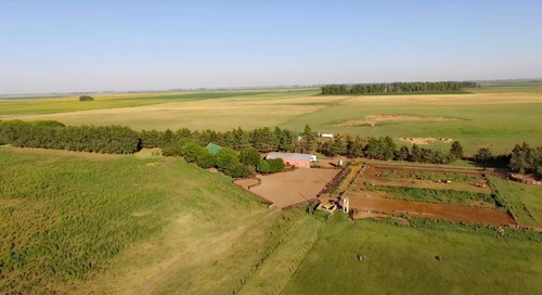 Imagen 1 de 3 de Campo En Venta - Trenque Lauquen