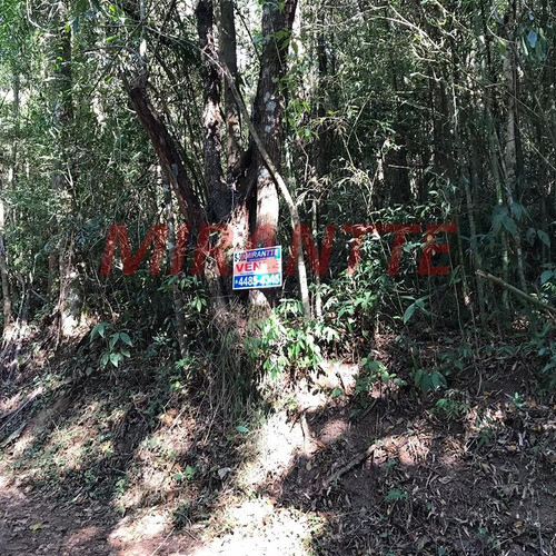 Imagem 1 de 4 de Terreno Em Serra Da Cantareira - Mairiporã, Sp - 359297