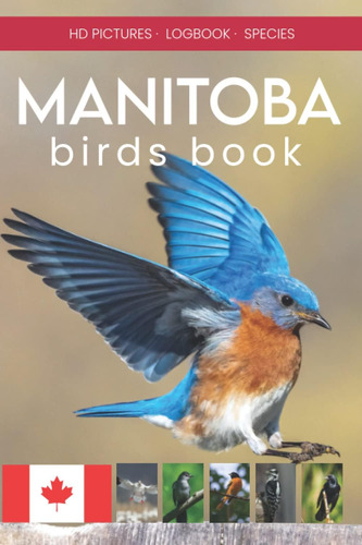 Libro: Manitoba Birds Book. Canadian Bird Watching Book.: