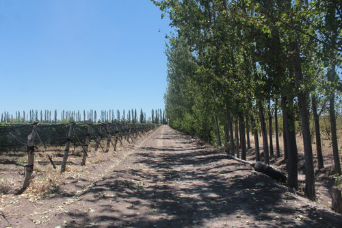 Imagen 14 de 30 de Vendo Finca 57 Hectareas Con Dos Perforaciones En Goudge- San Rafael