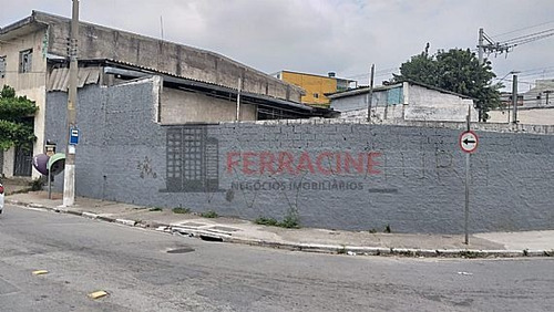 Imagem 9 de 15 de 01717 - Galpao, Vila Paraíso - Guarulhos/sp - 1717