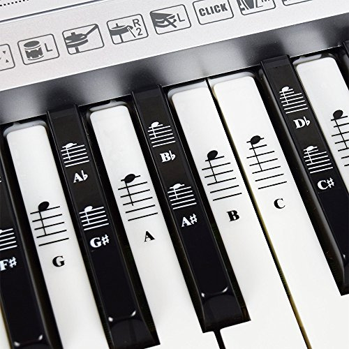 Piano Y Teclado Music Note Full Set Stickers For White And B