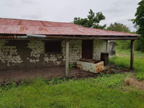 Campo En Formosa