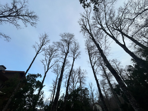Venta Dpto.3h, 2b Derecho Estac. Con Vista Al Volcán - Pucón