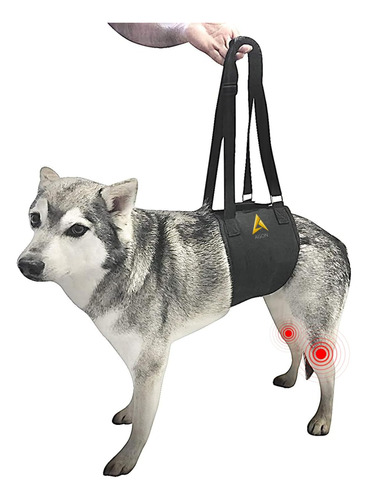 Agon Canine Dog Sling Carrier Soporte Para Piernas Traseras,