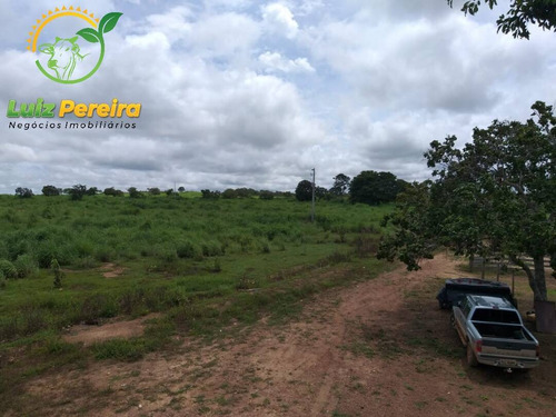 Imagem 3 de 15 de Fazenda À Venda Em São Valério -to - 1.026 Hec (excelente Para Agricultura) - 1520