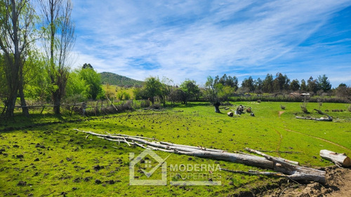 Predio 38 Ha Agricola Y Forestal