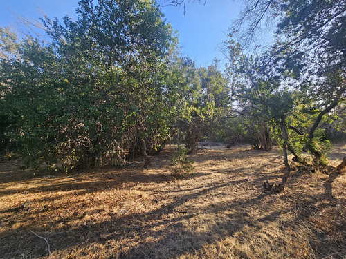 Vendo Hermoso Terrenos En Olmué Sector Quebrada Alvarado