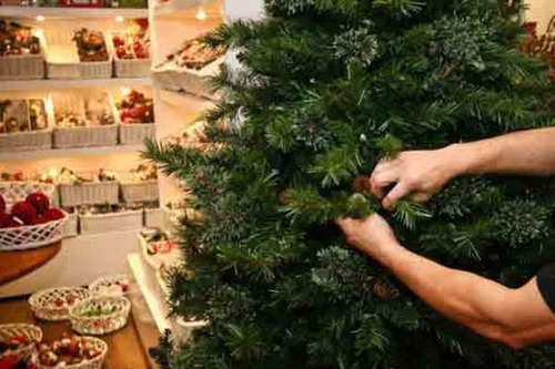 Árvore De Natal Bavarian Pine Côr Verde 1,80m - 580 Galhos | Frete grátis Árvore De Natal Bavarian Pine Côr Verde 1,80m - 580 Galhos | Frete grátis