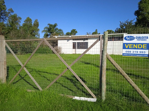 Local Con Baño, Frente A Inerbalnearia