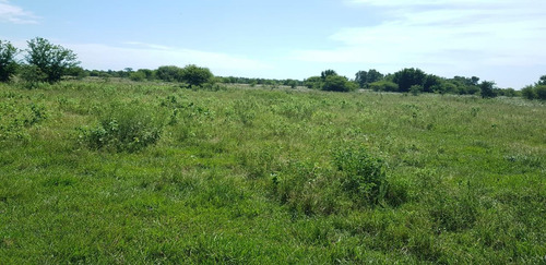 Campo Grandioso En Argentina- Formosa-estanislao Del Campo