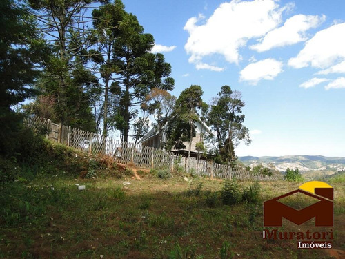 Imagem 10 de 15 de Lote À Venda - 2079