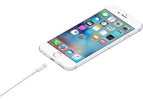 Apple Cable Cargador Lightning A Usb (0.5 M) Original