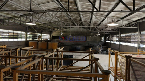 Imagem 15 de 15 de Galpão Comercial 1500m² À Venda Na Chácara Santo Antônio - Mc9809