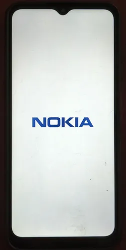 Celular Nokia G21 Dual Sim (Usado)