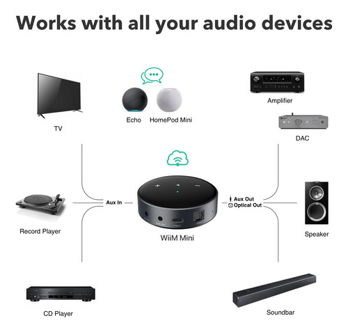 Transmisor De Audio Inalámbrico Wiim Mini Airplay 2 Con Alex