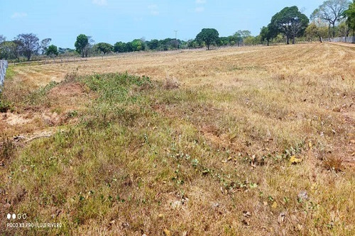 Imagen 10 de 11 de Rp Asein1110 Vende Hermosa Finca En Achagua, Estado Apure. Venezuela