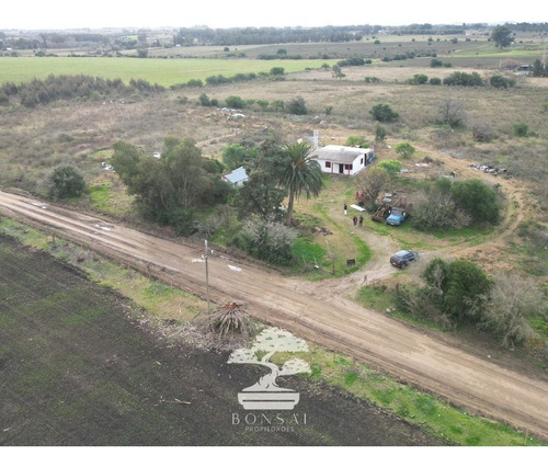 - Venta Chacra Con Casa La Macana Florida Mp.