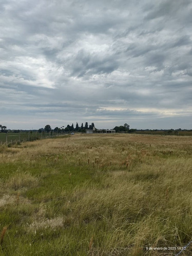 Lote 1 Hectarea Con Casa 320 Mts. Cubiertos