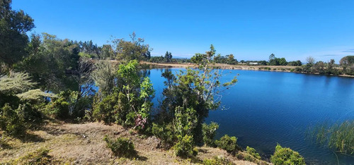 Venta Terreno-sitio  Sector Rulo En Calbuco