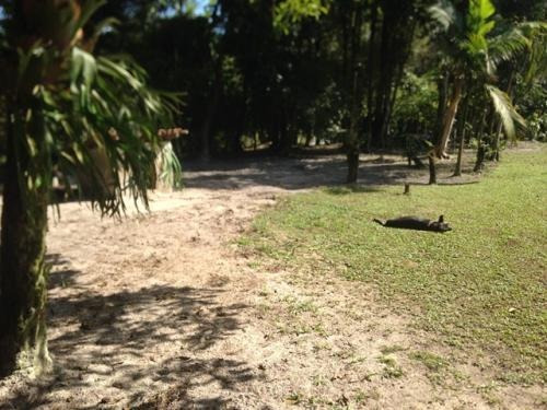 Lindíssima Chácara Com Lago E Suíte Em Itanhaém - Ch017