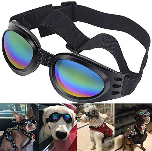 Qumy Gafas De Sol Para Perros Eye Wear Protección Gafas De M