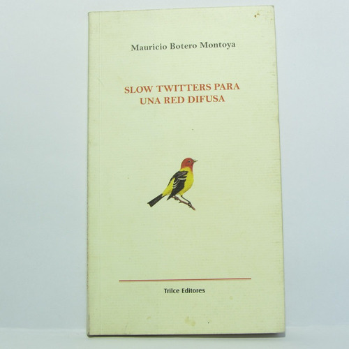 Slow Twitters Para Una Red Difusa - M. Montoya - Teilce Ed