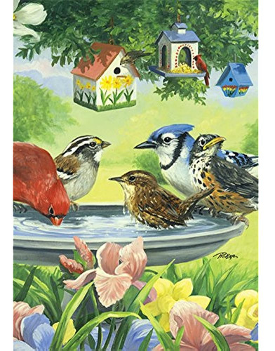 Toland Home Garden 119474 Aves De Baño Bandera De Primavera 