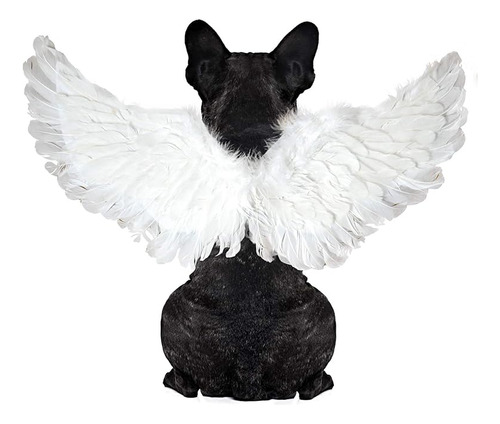 Disfraz Mascota Cosplay Angel Ala Pluma Ala Para Perro Gato