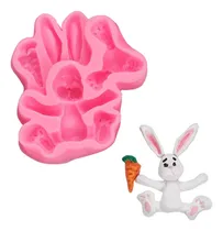 Comprar Set Molde Silicona Conejo Zanahoria Ideal Decoracion Tortas