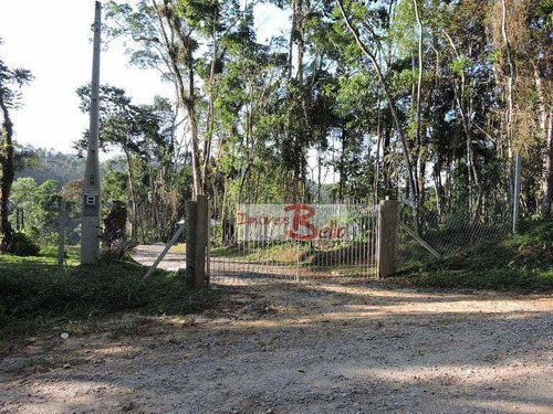 Imagem 28 de 30 de Sítio Com 4 Dormitórios À Venda, 40000 M² Por R$ 750.000,00 - Vila Nadia - Tapiraí/sp - Si0028