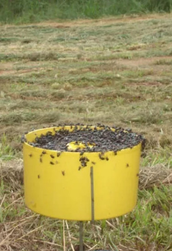 Atrativo Target Biológico Armadilha De Moscas Galão 5 Litros