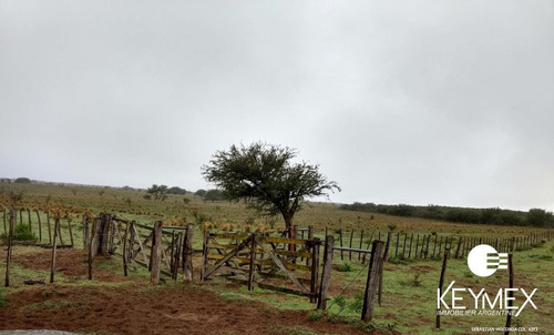 Imagen 3 de 10 de Campo Ganadero - Nueva Galia - Dupuy - San Luis