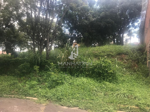 Imagem 1 de 3 de Terreno À Venda Em Bairro Das Palmeiras - Te006181