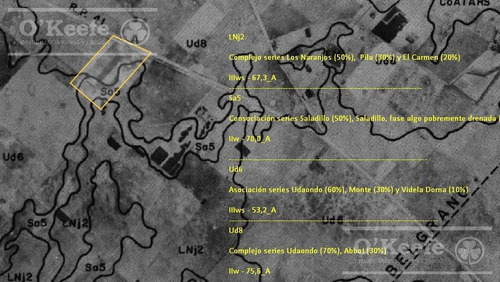 Imagen 10 de 13 de Campo 60 Has - 100% Agrícola - Oportunidad Sobre Ruta 41 - General Belgrano