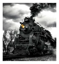 Comprar Vinilo 100x100cm Locomotora Trenes Ferrovias Anden Viaje P1