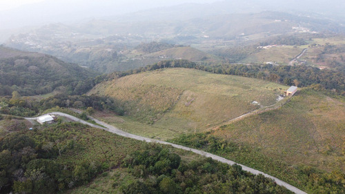 Imagen 6 de 13 de Finca En Venta Via Casa Del Padre Tachira Naciente Vialidad Excelente